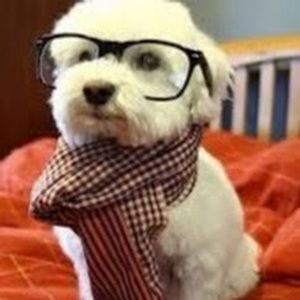 Meet your Posher, Quincy